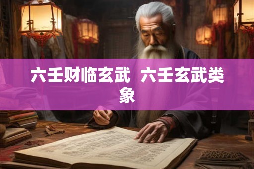 六壬财临玄武  六壬玄武类象