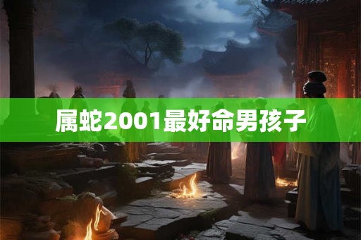 属蛇2001最好命男孩子