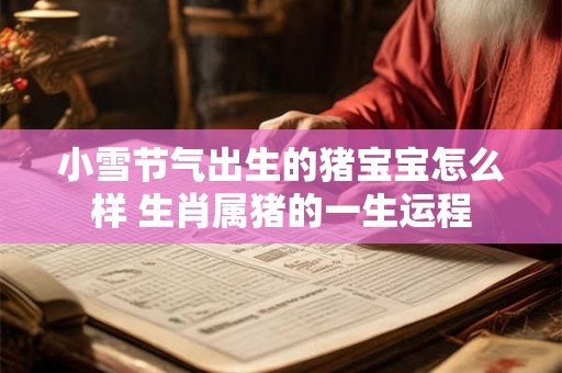 小雪节气出生的猪宝宝怎么样 生肖属猪的一生运程