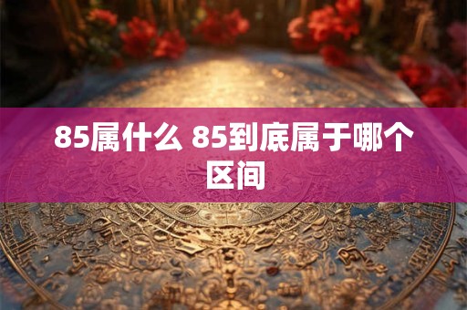 85属什么 85到底属于哪个区间