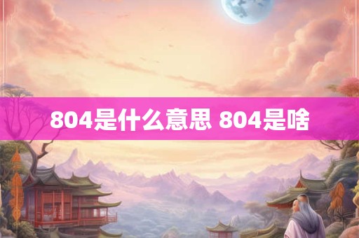 804是什么意思 804是啥
