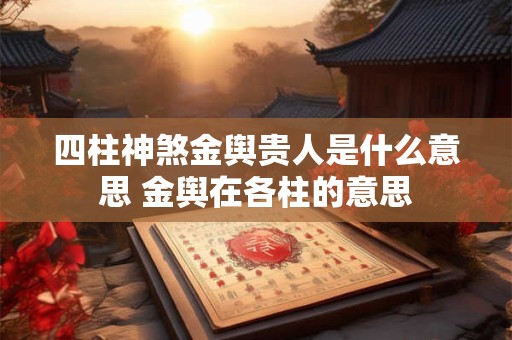 四柱神煞金舆贵人是什么意思 金舆在各柱的意思