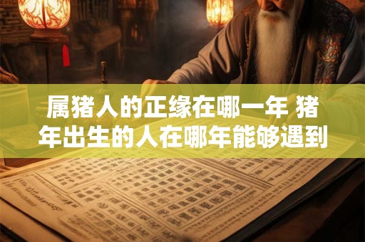 属猪人的正缘在哪一年 猪年出生的人在哪年能够遇到正缘