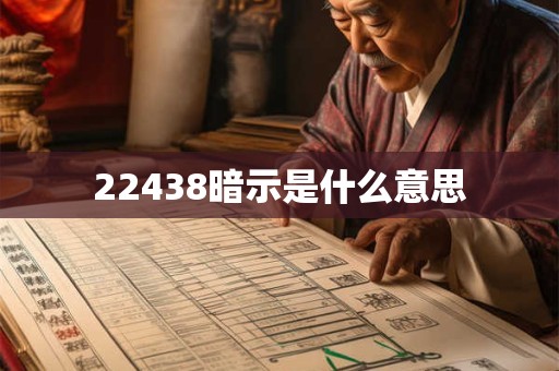 22438暗示是什么意思