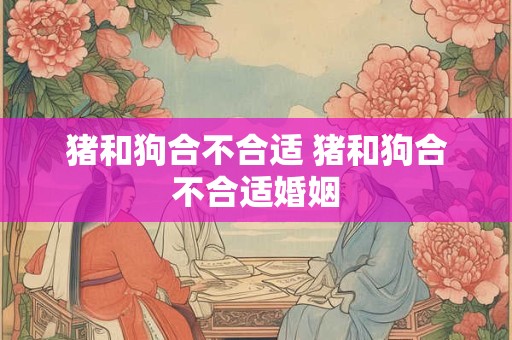 猪和狗合不合适 猪和狗合不合适婚姻
