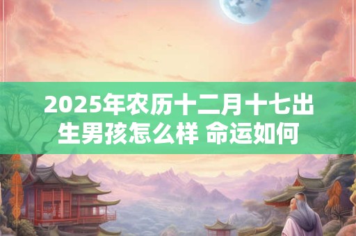 2025年农历十二月十七出生男孩怎么样 命运如何