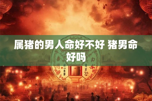 属猪的男人命好不好 猪男命好吗