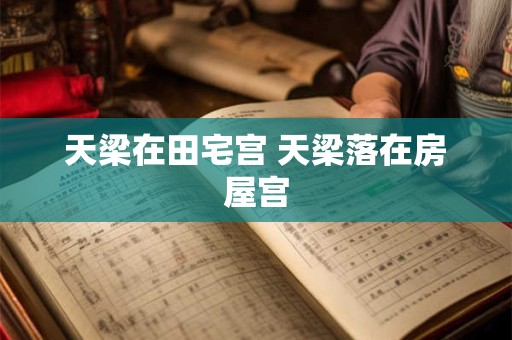 天梁在田宅宫 天梁落在房屋宫
