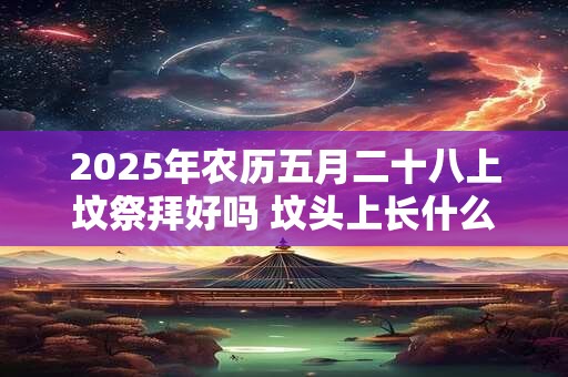 2025年农历五月二十八上坟祭拜好吗 坟头上长什么草出大官