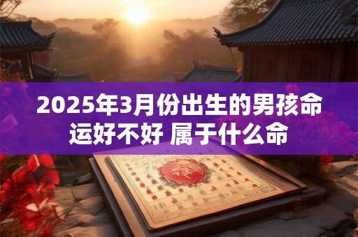 2025年3月份出生的男孩命运好不好 属于什么命