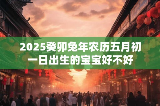 2025癸卯兔年农历五月初一日出生的宝宝好不好