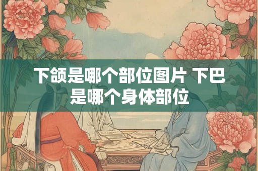 下颌是哪个部位图片 下巴是哪个身体部位