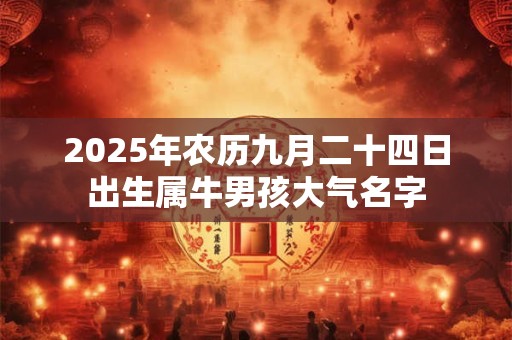 2026年农历九月二十四日出生属牛男孩大气名字