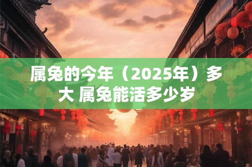 属兔的今年（2025年）多大 属兔能活多少岁