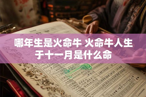 哪年生是火命牛 火命牛人生于十一月是什么命