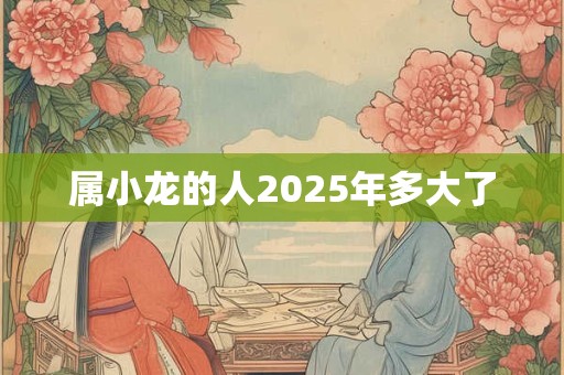 属小龙的人2025年多大了