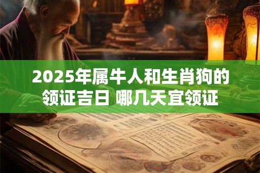 2025年属牛人和生肖狗的领证吉日 哪几天宜领证