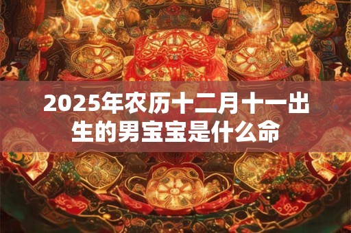 2025年农历十二月十一出生的男宝宝是什么命