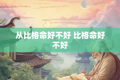 从比格命好不好 比格命好不好