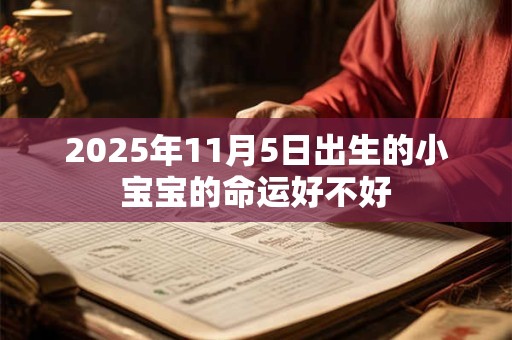 2025年11月5日出生的小宝宝的命运好不好