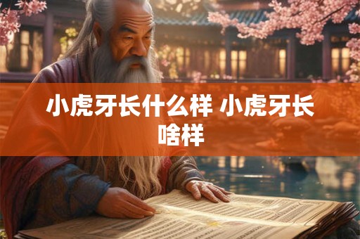 小虎牙长什么样 小虎牙长啥样