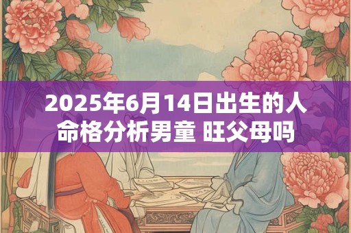 2025年6月14日出生的人命格分析男童 旺父母吗
