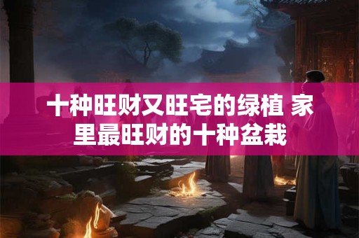 十种旺财又旺宅的绿植 家里最旺财的十种盆栽