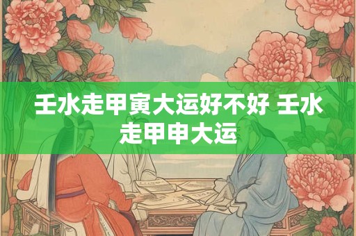 壬水走甲寅大运好不好 壬水走甲申大运