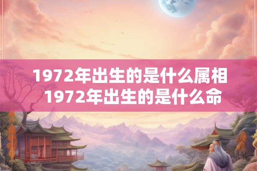 1972年出生的是什么属相  1972年出生的是什么命