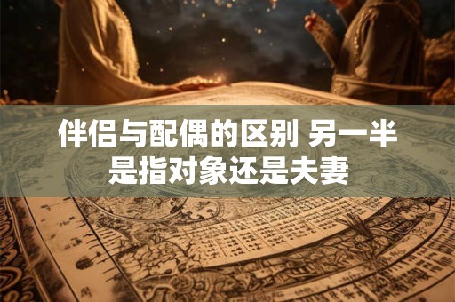 伴侣与配偶的区别 另一半是指对象还是夫妻