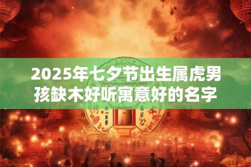 2025年七夕节出生属虎男孩缺木好听寓意好的名字