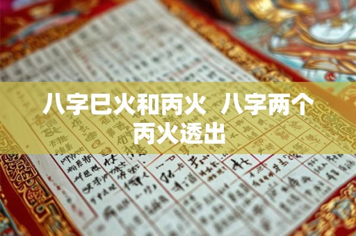 八字巳火和丙火  八字两个丙火透出