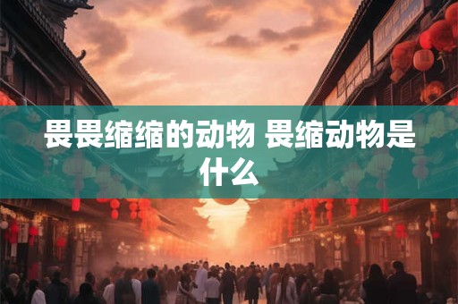 畏畏缩缩的动物 畏缩动物是什么