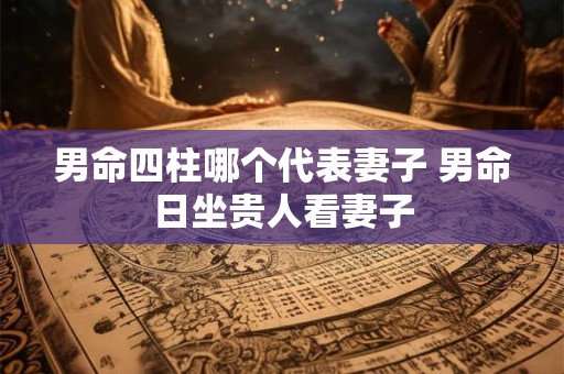 男命四柱哪个代表妻子 男命日坐贵人看妻子