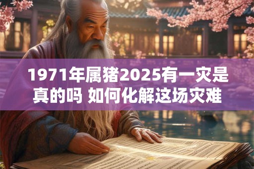 1971年属猪2025有一灾是真的吗 如何化解这场灾难