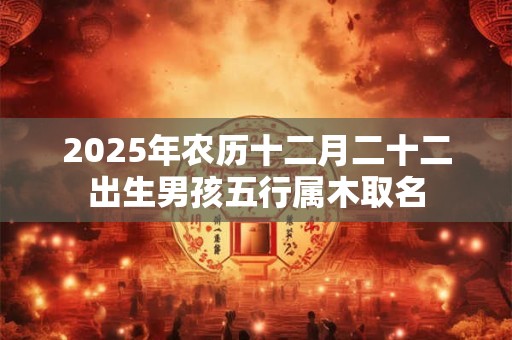 2026年农历十二月二十二出生男孩五行属木取名