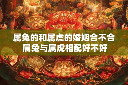 属兔的和属虎的婚姻合不合 属兔与属虎相配好不好