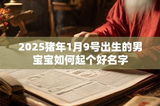 2026猪年1月9号出生的男宝宝如何起个好名字 2026猪年1月9号出生的男宝宝如何起个好名字