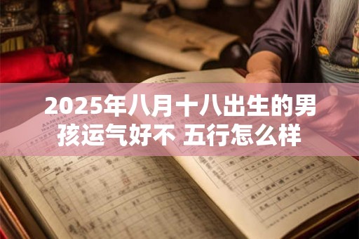 2025年八月十八出生的男孩运气好不 五行怎么样