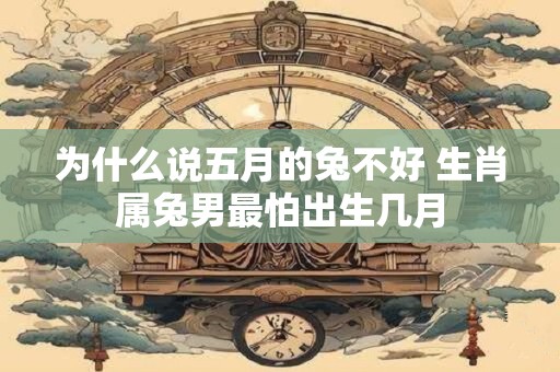 为什么说五月的兔不好 生肖属兔男最怕出生几月