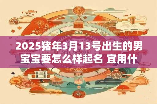 2025猪年3月13号出生的男宝宝要怎么样起名 宜用什么字
