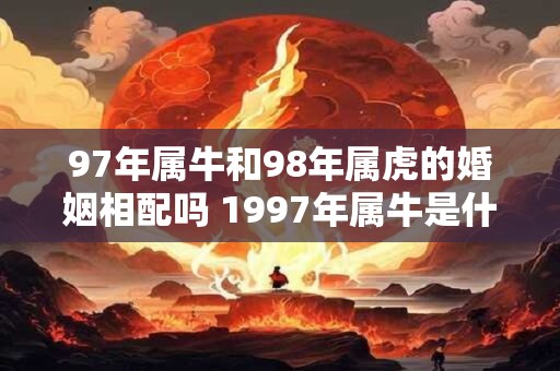 97年属牛和98年属虎的婚姻相配吗 1997年属牛是什么命