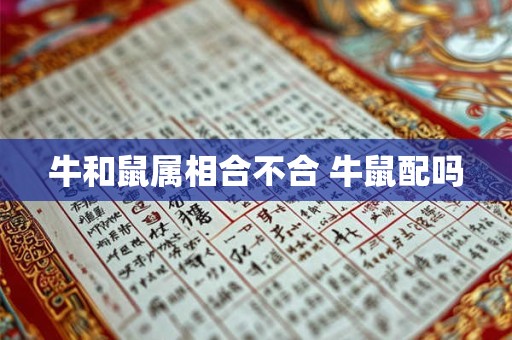 牛和鼠属相合不合 牛鼠配吗