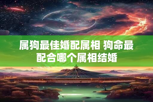 属狗最佳婚配属相 狗命最配合哪个属相结婚