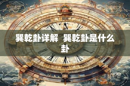 巽乾卦详解  巽乾卦是什么卦
