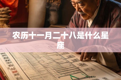 农历十一月二十八是什么星座