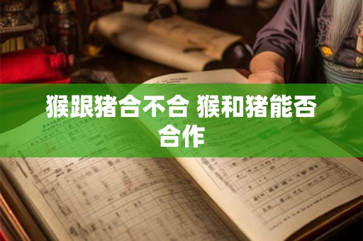 猴跟猪合不合 猴和猪能否合作