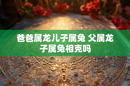 爸爸属龙儿子属兔 父属龙子属兔相克吗
