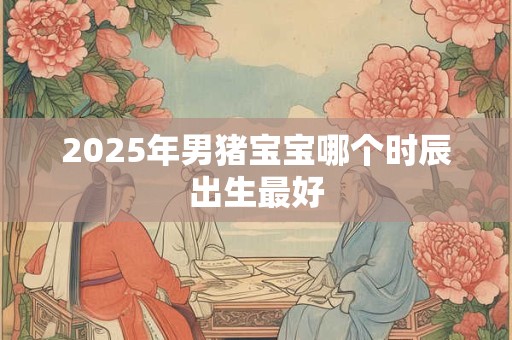 2025年男猪宝宝哪个时辰出生最好