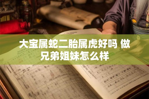 大宝属蛇二胎属虎好吗 做兄弟姐妹怎么样